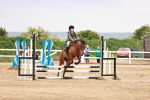 SBM_008680