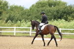 SBM_000371