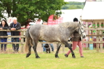 SBM_04090