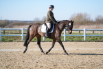 SBM_003388