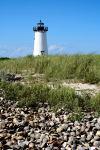 harbor lighthouse and shells [color]