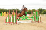 SBM_001690