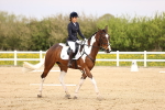 SBM_007346