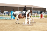 SBM_008166