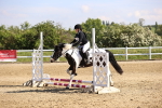 SBM_000291