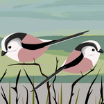 Long-tailed tits