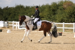 SBM_015124