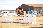 SBM_001356