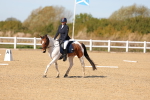 SBM_001537
