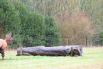 WJ6_5011