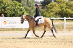 SBM_003588