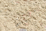 230721A-142051-06859