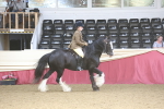 SBM_23803