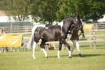 SBM_10473