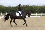 SBM_002946