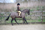 SBM_004812