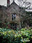 Bank Hall 4
