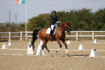 SBM_022444
