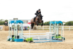 SBM_019060