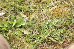 SBM_002237