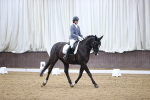 SBM_002264