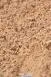 231122A-104704-00087