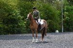WJ5_9987