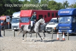BPP_7972