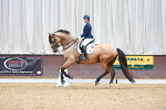 SBM_001504