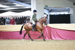 SBM_03532