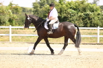 SBM_003610