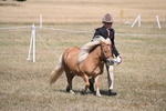 WJ6_9299