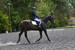 WJ5_1257