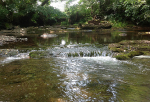 Afon Tarell running over a limestone pavement