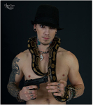 baby snakes
