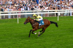 280625-Race 4-Hankelow-0527