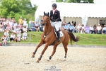 181-AMIRO_ISLAND-Harry_Meade-SUNTrotUp+SJ portfolio
