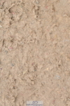 230511A-161901-01333