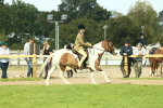 SBM_67659