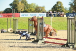 SBM_15275