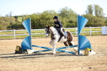 SBM_000212