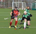 Hockey Gallery portfolio