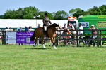 SBM_08009