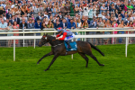 290723-Race 7-Bajan Bandit-1112