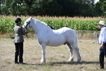 WJ6_4897