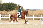 SBM_003398