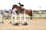 SBM_003658