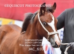 JAC_6108