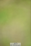 240523B-120242-02147