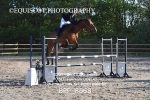 BPP_8668